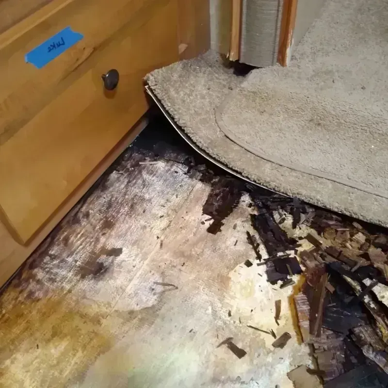 Best Wood Floor Water Damage Service in Plymouth, WI